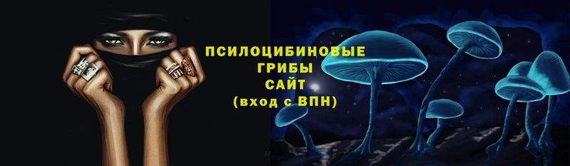 Галлюциногенные грибы Psilocybe  даркнет официальный сайт  Ялуторовск 